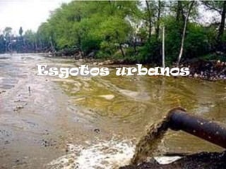 Esgotos urbanos
 