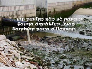 … um perigo não só para a
  fauna aquática, mas
também para o Homem…
 