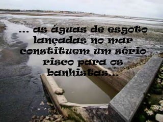 … as águas de esgoto
  lançadas no mar
constituem um sério
    risco para os
     banhistas…
 