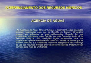 O GERENCIAMENTO DOS RECURSOS HÍDRICOS AGÊNCIA DE ÁGUAS As Agências de Água  têm por função o desempenho das atividades técnicas necessárias para que os Comitês de Bacias Hidrográfica possam ver aplicadas as suas deliberações. Deverão ter sua constituição autorizada pelos Comitês ou pelo Conselho Nacional de Recursos Hídricos. São condições legais necessárias para sua constituição a prévia existência do Comitê ou Comitês de Bacias que as tenham instituído e a viabilidade financeira assegurada pela cobrança do uso dos recursos hídricos em sua áreas de atuação. Podem prestar serviços para mais de um Comitê.  