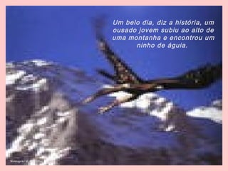 Um belo dia, diz a história, um
ousado jovem subiu ao alto de
uma montanha e encontrou um
ninho de águia.
Mensagens & Reflexões
 