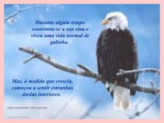 Durante algum tempo
contentou-se a sua sina e
viveu uma vida normal de
galinha.
Mas, à medida que crescia,
começou a sentir estranhas
ânsias interiores.
Mensagens & Reflexões
 