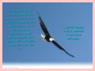 A pequena águiaA pequena águia
nunca tinha voado,nunca tinha voado,
mas aninhava em si amas aninhava em si a
força e o instinto. Elaforça e o instinto. Ela
distendeu as asas edistendeu as asas e
alçou-se a umalçou-se a um
pequeno monte.pequeno monte.
Deslumbrada, voouDeslumbrada, voou
depois até um cabeçodepois até um cabeço
um pouco mais altoum pouco mais alto
ee......
......afinal, rasgouafinal, rasgou
o azul, subindoo azul, subindo
a um cumea um cume
altíssimo.altíssimo.
Mensagesn & Reflexões
 