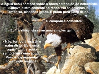 A águia ficou sentada sobre o braço estendido do naturalista.
Olhava distraidamente ao redor. Viu as galinhas lá
embaixo, ciscando grãos. E pulou para junto delas.
O camponês comentou:
- Eu lhe disse, ela virou uma simples galinha!
- Não, tornou a insistir o
naturalista. Ela é uma
águia. E uma águia
sempre será uma águia.
Vamos experimentar
novamente amanhã.
 