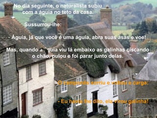 No dia seguinte, o naturalista subiu
com a águia no teto da casa.
Sussurrou-lhe:
- Águia, já que você é uma águia, abra suas asas e voe!
Mas, quando a águia viu lá embaixo as galinhas ciscando
o chão, pulou e foi parar junto delas.
O camponês sorriu e voltou a carga:
- Eu havia lhe dito, ela virou galinha!
 