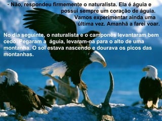 - Não, respondeu firmemente o naturalista. Ela é águia e
possui sempre um coração de águia.
Vamos experimentar ainda uma
última vez. Amanhã a farei voar.
No dia seguinte, o naturalista e o camponês levantaram bem
cedo. Pegaram a águia, levaram-na para o alto de uma
montanha. O sol estava nascendo e dourava os picos das
montanhas.
 
