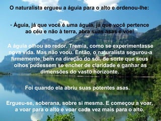 O naturalista ergueu a águia para o alto e ordenou-lhe:
- Águia, já que você é uma águia, já que você pertence
ao céu e não à terra, abra suas asas e voe!
A águia olhou ao redor. Tremia, como se experimentasse
nova vida. Mas não voou. Então, o naturalista segurou-a
firmemente, bem na direção do sol, de sorte que seus
olhos pudessem se encher de claridade e ganhar as
dimensões do vasto horizonte.
Foi quando ela abriu suas potentes asas.
Ergueu-se, soberana, sobre si mesma. E começou a voar,
a voar para o alto e voar cada vez mais para o alto.
 