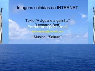 Imagens colhidas na INTERNET
Texto “A águia e a galinha”
(Leonardo Boff)
Formatado por Leonil
leonewpinto@hotmail.com
Música: “Sakura”
 
