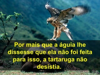 Por mais que a águia lhe
dissesse que ela não foi feita
  para isso, a tartaruga não
          desistia.
 