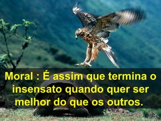 Moral : É assim que termina o
 insensato quando quer ser
  melhor do que os outros.
 