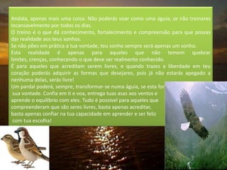Andala, apenas mais uma coisa: Não poderás voar como uma águia, se não treinares
incansavelmente por todos os dias.
O treino é o que dá conhecimento, fortalecimento e compreensão para que possas
dar realidade aos teus sonhos.
Se não pões em prática a tua vontade, teu sonho sempre será apenas um sonho.
Esta realidade é apenas para aqueles que não temem quebrar
limites, crenças, conhecendo o que deve ser realmente conhecido.
É para aqueles que acreditam serem livres, e quando trazes a liberdade em teu
coração poderás adquirir as formas que desejares, pois já não estarás apegado a
nenhuma delas, serás livre!
Um pardal poderá, sempre, transformar-se numa águia, se esta for
 sua vontade. Confia em ti e voa, entrega tuas asas aos ventos e
aprende o equilíbrio com eles. Tudo é possível para aqueles que
compreenderam que são seres livres, basta apenas acreditar,
basta apenas confiar na tua capacidade em aprender e ser feliz
 com tua escolha!
 