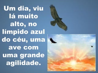 Um dia, viu
lá muito
alto, no
límpido azul
do céu, uma
ave com
uma grande
agilidade.
 
