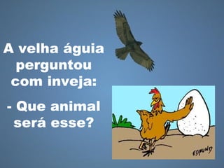 A velha águia
perguntou
com inveja:
- Que animal
será esse?
 