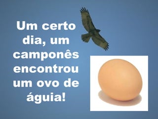 Um certo
dia, um
camponês
encontrou
um ovo de
águia!
 