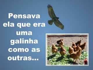 Pensava
ela que era
uma
galinha
como as
outras…
 