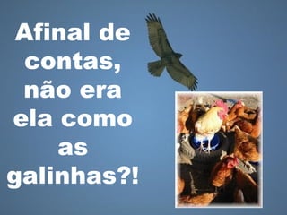 Afinal de
contas,
não era
ela como
as
galinhas?!
 