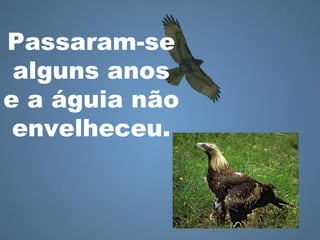 Passaram-se
alguns anos
e a águia não
envelheceu.
 