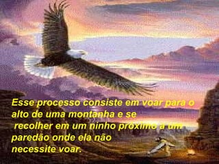 Esse processo consiste em voar para o
alto de uma montanha e se
recolher em um ninho próximo a um
paredão onde ela não
necessite voar.
 