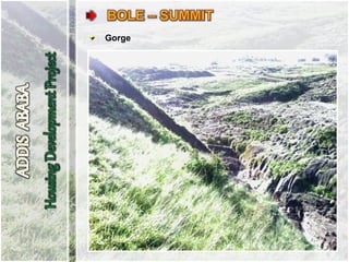 Gorge
 