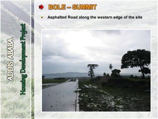 Asphalted Road along the western edge of the site
 