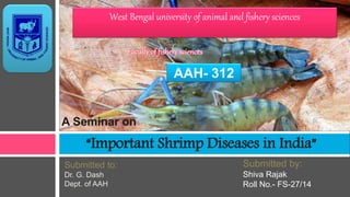 “Important Shrimp Diseases in India”
West Bengal university of animal and fishery sciences
A Seminar on
Submitted to:
Dr. G. Dash
Dept. of AAH
Submitted by:
Shiva Rajak
Roll No.- FS-27/14
AAH- 312
 