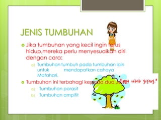JENIS TUMBUHAN
 Jika

tumbuhan yang kecil ingin terus
hidup,mereka perlu menyesuaikan diri
dengan cara:.
a)



Tumbuhan tumbuh pada tumbuhan lain
untuk
mendapatkan cahaya
Matahari.

Tumbuhan ini terbahagi kepada dua ,iaitu:
a)
b)

Tumbuhan parasit
Tumbuhan ampifit

 