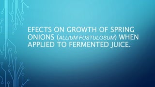 EFECTS ON GROWTH OF SPRING
ONIONS (ALLIUM FUSTULOSUM) WHEN
APPLIED TO FERMENTED JUICE.
 