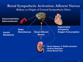 Renal Sympathetic Activation: Afferent Nerves
              Kidney as Origin of Central Sympathetic Drive


Vasoconstriction
Atherosclerosis

                                                     Hypertrophy
               Sleep                                 Arrhythmia
 Insulin       Disturbances   Renal Afferent         Oxygen Consumption
 Resistance                      Nerves




                                         ↑ Renin Release  RAAS activation
                                         ↑ Sodium Retention
                                         ↓ Renal Blood Flow




                                                                             37
 