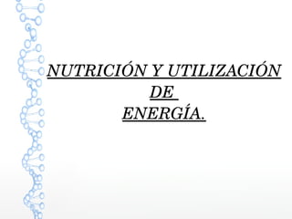 NUTRICIÓN Y UTILIZACIÓN 
DE 
ENERGÍA.
 