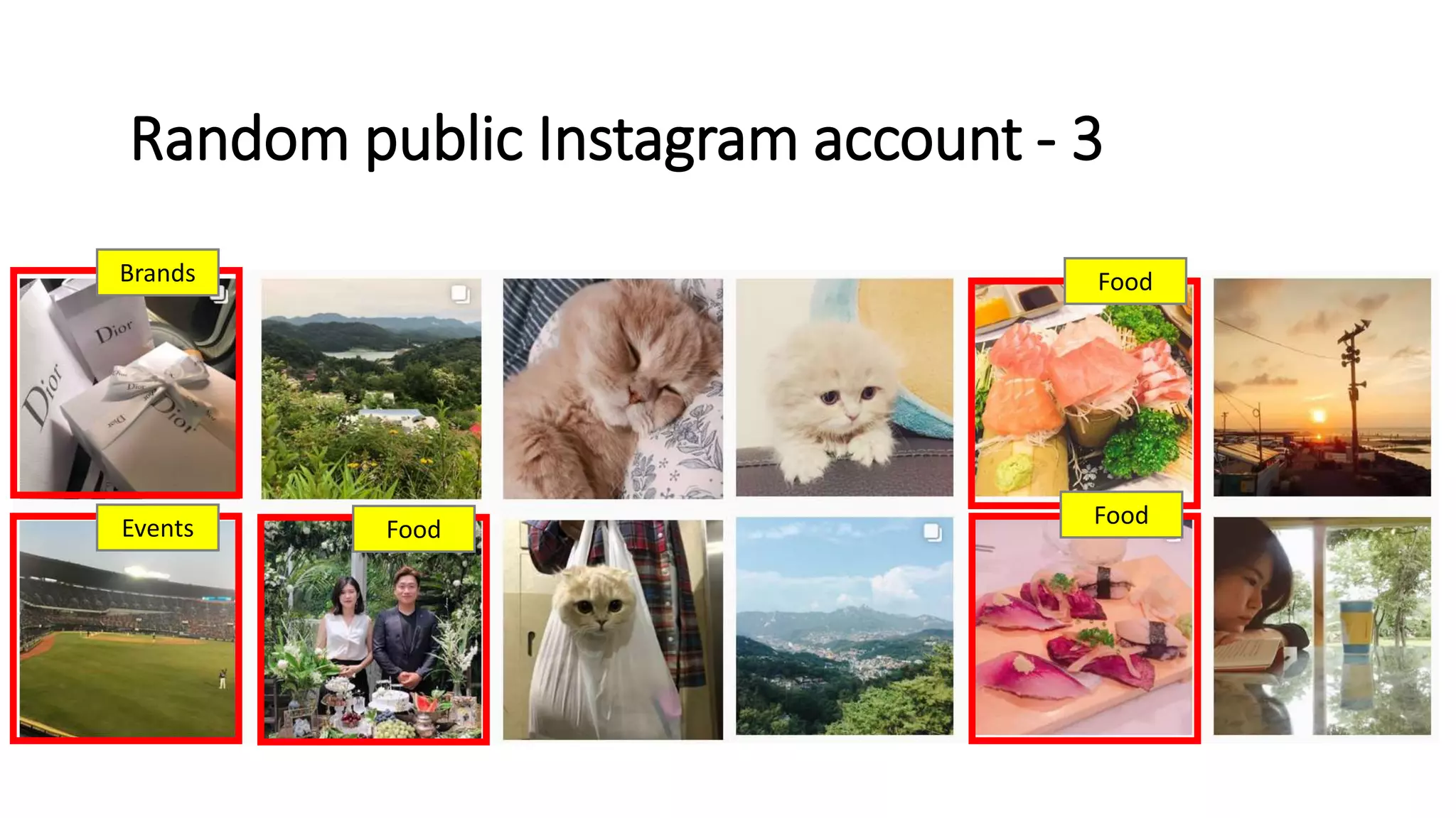 Random public Instagram account - 3
Events
Brands
Food
Food
Food
 