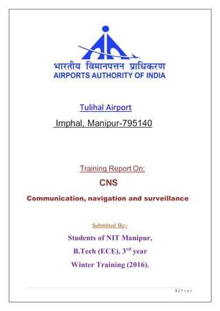 AAI Report on CNS (winter training) | PDF