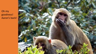 Oh my
goodness!
Aaron’s back!
 