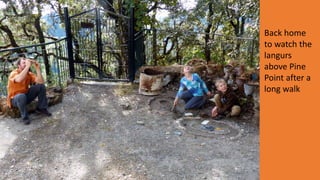 Back home
to watch the
langurs
above Pine
Point after a
long walk
 