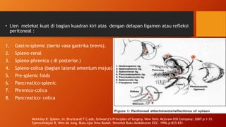 • Lien melekat kuat di bagian kuadran kiri atas dengan delapan ligamen atau refleksi
peritoneal :
1. Gastro-splenic (berisi vasa gastrika brevis).
2. Spleno-renal
3. Spleno-phrenica ( di posterior.)
4. Spleno-colica (bagian lateral omentum majus)
5. Pre-splenic folds
6. Pancreatico-splenic
7. Phrenico-colica
8. Pancreatico- colica
Mckinley R. Spleen. In: Brunicardi F C,eds. Schwartz’s Principles of Surgery. New York: McGraw-Hill Company; 2007.p 1-31.
Sjamsuhidajat R, Wim de Jong. Buku Ajar Ilmu Bedah. Penerbit Buku Kedokteran EGC. 1996.p:823-831.
 