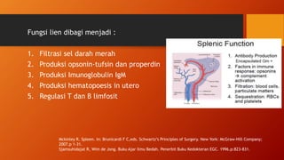 Fungsi lien dibagi menjadi :
1. Filtrasi sel darah merah
2. Produksi opsonin-tufsin dan properdin
3. Produksi Imunoglobulin IgM
4. Produksi hematopoesis in utero
5. Regulasi T dan B limfosit
Mckinley R. Spleen. In: Brunicardi F C,eds. Schwartz’s Principles of Surgery. New York: McGraw-Hill Company;
2007.p 1-31.
Sjamsuhidajat R, Wim de Jong. Buku Ajar Ilmu Bedah. Penerbit Buku Kedokteran EGC. 1996.p:823-831.
 
