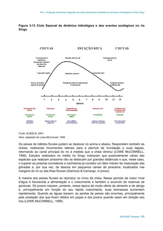 AAI – Avaliação Ambiental Integrada dos Aproveitamentos Hidrelétricos da Bacia Hidrográfica do Rio Xingu
ARCADIS Tetraplan 106
Figura 3-13 Ciclo Sazonal da dinâmica hidrológica e dos eventos ecológicos no rio
Xingu
Fonte: ELB/ELN, 2001.
Nota: adaptado de Lowe-McConnell, 1999.
Os peixes de hábitos fluviais podem se deslocar rio acima e abaixo. Respondem também às
cheias, realizando movimentos laterais para a planície de inundação e suas lagoas,
retornando ao canal principal do rio à medida que a cheia diminui (LOWE McCONNELL,
1999). Estudos realizados no médio rio Xingu indicaram que possivelmente várias das
espécies que realizam piracema não se deslocam por grandes distâncias e que, neste caso,
o superar as próprias corredeiras e cachoeiras já constitui um fator indutor da maduração das
gônadas e, por sua vez, da desova em pequenos canais de piracema, localizados nas
margens do rio ou das ilhas fluviais (Giarrizzo & Camargo, in press).
A maioria dos peixes fluviais se reproduz no início da cheia. Nesse período de maior nível
d’água é favorecida a alimentação e o crescimento e também o acúmulo de reservas de
gorduras. Os jovens nascem, portanto, nessa época de muita oferta de alimento e de abrigo
e, principalmente em função do seu rápido crescimento, suas biomassas aumentam
rapidamente. Quando as águas baixam, as perdas de peixes são enormes, principalmente
pela predação dos que ficam retidos em poças e dos jovens quando saem em direção aos
rios (LOWE McCONNELL, 1999).
 