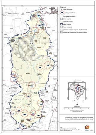 P AP A
M TM T
T OT O
G OG O
Arara da
Volta Grande
do Xingu
Kararaô
Pimentel
Barbosa
Naruwota
Parabubure
Chão
Preto
Batovi
Marechal
Rondon
Bakairi
Paquiçamba
Arara
Trincheira
Bacaja
Koatinemo
Apyterewa
Xikrin
do Cateté
Kayapo
Arawete
Igarapé
Ipixuna
Cachoeira
Seca
Xipaya
Kuraya
Baú
Badjonkore
Urubu
Branco
Maralwat
Sede
Menkragnoti
Capoto/Jarina
Panará
Wawi
Parque
do Xingu
Rio
Arrais/BR
080
RESEX
do Rio
Xingu
RESEX
do Rio Iriri
FLOTA
do Iriri
F.N.
Iatacaiúnas
F.N. Tapirapé-
Aquiri
APA
Triunfo
do Xingu
F.N.
Altamira
RESEX
Riozinho do
Anfrisio
Sítio
de Pesca do
Xingu
F.N.
Caxiuanã
RESEX
Verde para
Sempre
RESEC do
Culuene
APA do
Arquipélago do
Marajó
R.B. Nascentes
da Serra do
Cachimbo
ESEC
Rio
Ronuro
P.N.
da Serra
do Pardo
ESEC
Terra
do Meio
R.B. do
Tapirapé
Pau
D'Arco
Anapu
Senador
José
Porfírio
Vitória
do Xingu
Altamira
Prainha
Monte
Alegre
Brasil
Novo
Medicilândia
Uruará
Placas
Água Azul
do Norte
Ourilândia
do Norte
Tucumã
Bannach
Cumaru
do Norte
São Félix
do Xingu
Alenquer
CuruáÓbidos
Oriximiná
SANTARÉM
Belterra
Rurópolis
Aveiro
Juruti
Itaituba
Trairão
Novo
Progresso
Santana do
Araguaia
Santa
Terezinha
Vila
Rica
Luciára
São Félix
do Araguaia
Confresa
Porto
Alegre do
Norte
Canabrava
do Norte
Alto Boa
Vista
São José
do Xingu
Marcelândia
União
do Sul
Cocalinho
Ribeirão
Cascalheira
Querência
Canarana
Almeirim
Gaúcha
do Norte
Campinápolis
Paranatinga
Novo São
Joaquim
Água Boa
Nova
Xavantina
Nova
Guarita
Carlinda
Alta
Floresta
Cláudia
Terra Nova
do Norte
Colíder
Itaúba
Feliz
Natal
Santa
Carmem
Sinop
Vera
Nova Canaã
do Norte
Sorriso
Nova
Ubiratã
Planalto
da Serra
Lucas do
Rio Verde
Nova
Mutum
Guarantã
do Norte
Matupá Peixoto de
Azevedo
Breves
Melgaço
Portel
Gurupá
Porto
de Moz
Pacajá
Novo
Mundo
Nova
Brasilândia
52°W
52°W
54°W
54°W
56°W
56°W
2°S
2°S
4°S
4°S
6°S
6°S
8°S
8°S
10°S
10°S
12°S
12°S
14°S
14°S
Legenda
Sedes Municipais
Localização de Peixes
Hidrografia Permanente
Limite Estadual
Limites Municipais
Bacia do Xingu
Terras Indígenas
Unidades de Conservação de Uso Sustentável
Unidade de Conservação de Proteção Integral
0 100 200 30050
km
Sistema de Coordenadas Geográficas
Datum horizontal: SAD 69
1:4.000.000
40°0'W
40°0'W
60°0'W
60°0'W
10°0'S
10°0'S
30°0'S
30°0'S
Mapa de Localização
Figura 3.14 Localização geográfica dos pontos
de registro de ictiofauna na bacia do rio Xingu
Fontes:
Peixes:Baseada na Listagem do Banco de Dados da
Coleção de Ictiologia do Museu de Zoologia da USP.
Base Cartográfica Digital do Brasil ao Milionésimo (IBGE, 2005)
Elaboração: ARCADIS Tetraplan, 2009
 