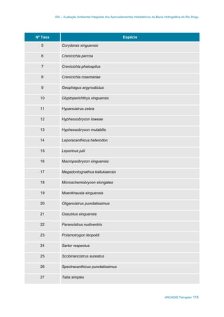 AAI – Avaliação Ambiental Integrada dos Aproveitamentos Hidrelétricos da Bacia Hidrográfica do Rio Xingu
ARCADIS Tetraplan 118
Nº Taxa Espécie
5 Corydoras xinguensis
6 Crenicichla percna
7 Crenicichla phaiospilus
8 Crenicichla rosemariae
9 Geophagus argyrostictus
10 Glyptoperichthys xinguensis
11 Hypancistrus zebra
12 Hyphessobrycon loweae
13 Hyphessobrycon mutabilis
14 Leporacanthicus heterodon
15 Leporinus julii
16 Macropsobrycon xinguensis
17 Megadontognathus kaitukaensis
18 Microschemobrycon elongates
19 Moenkhausia xinguensis
20 Oligancistrus punctatissimus
21 Ossubtus xinguensis
22 Parancistrus nudiventris
23 Potamotrygon leopoldi
24 Sartor respectus
25 Scobinancistrus aureatus
26 Spectracanthicus punctatissimus
27 Tatia simplex
 