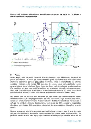 AAI – Avaliação Ambiental Integrada dos Aproveitamentos Hidrelétricos da Bacia Hidrográfica do Rio Xingu
ARCADIS Tetraplan 120
Figura 3-15 Unidades hidrológicas identificadas ao longo da bacia do rio Xingu e
respectivas áreas de endemismo
D) Pesca
No rio Xingu, além da pesca comercial e de subsistência, há o extrativismo da pesca de
peixes ornamentais. A pesca de peixes utilizados para aquariofilia teve início como uma
alternativa econômica para as populações ribeirinhas, tendo-se intensificado nas últimas
décadas. Existem pelo menos 105 espécies de peixes sendo comercializadas como
ornamentais na fauna ictiológica do rio Xingu, sendo as mais importantes: acari amarelinho
(Baryancistrus sp) acari bola azul (Parancistrus sp), acari preto velho (Ancistrus ranunculus),
acari tigre (Peckoltia spp), acari assacu pirarara (Pseudacanthicus sp), acari picota ouro
(Scobiancistrus auratus) e acari bola branca (Baryancistrus niveatus) (LEME, 2009).
De acordo com os estudos mais recentes, de dez firmas que comercializaram peixes
ornamentais em 2001 e empregaram cerca de 1500 pescadores, hoje atuam quatro firmas,
sendo que uma funciona em regime de cooperativismo de três atravessadores. Por sua vez, o
esforço na atividade diminuiu drasticamente, com cerca de 200 pescadores registrados
através de entrevistas e 400, segundo as estimativas dos atravessadores (Gonçalves et al., in
press).
No que se refere à atividade pesqueira com finalidade de consumo, esta é uma das mais
antigas e tradicionais da Amazônia, desempenhando importante papel no fornecimento de
proteínas de fácil acesso para a população ribeirinha e como principal fonte de renda. No rio
 