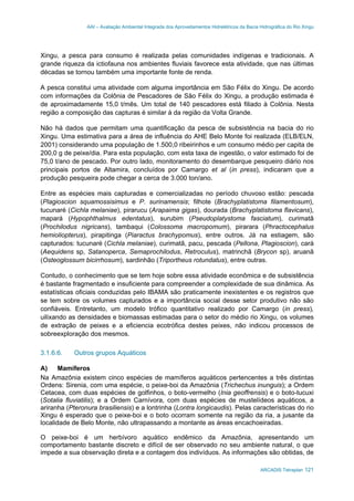 AAI – Avaliação Ambiental Integrada dos Aproveitamentos Hidrelétricos da Bacia Hidrográfica do Rio Xingu
ARCADIS Tetraplan 121
Xingu, a pesca para consumo é realizada pelas comunidades indígenas e tradicionais. A
grande riqueza da ictiofauna nos ambientes fluviais favorece esta atividade, que nas últimas
décadas se tornou também uma importante fonte de renda.
A pesca constitui uma atividade com alguma importância em São Félix do Xingu. De acordo
com informações da Colônia de Pescadores de São Félix do Xingu, a produção estimada é
de aproximadamente 15,0 t/mês. Um total de 140 pescadores está filiado à Colônia. Nesta
região a composição das capturas é similar à da região da Volta Grande.
Não há dados que permitam uma quantificação da pesca de subsistência na bacia do rio
Xingu. Uma estimativa para a área de influência do AHE Belo Monte foi realizada (ELB/ELN,
2001) considerando uma população de 1.500,0 ribeirinhos e um consumo médio per capita de
200,0 g de peixe/dia. Para esta população, com esta taxa de ingestão, o valor estimado foi de
75,0 t/ano de pescado. Por outro lado, monitoramento do desembarque pesqueiro diário nos
principais portos de Altamira, concluídos por Camargo et al (in press), indicaram que a
produção pesqueira pode chegar a cerca de 3.000 ton/ano.
Entre as espécies mais capturadas e comercializadas no período chuvoso estão: pescada
(Plagioscion squamossisimus e P. surinamensis; filhote (Brachyplatistoma filamentosum),
tucunaré (Cichla melaniae), pirarucu (Arapaima gigas), dourada (Brachyplatistoma flavicans),
mapará (Hypophthalmus edentatus), surubim (Pseudoplatystoma fasciatum), curimatã
(Prochilodus nigricans), tambaqui (Colossoma macropomum), pirarara (Phractocephalus
hemioliopterus), pirapitinga (Piaractus brachypomus), entre outros. Já na estiagem, são
capturados: tucunaré (Cichla melaniae), curimatã, pacu, pescada (Pellona, Plagioscion), cará
(Aequidens sp, Satanoperca, Semaprochilodus, Retroculus), matrinchã (Brycon sp), aruanã
(Osteoglossum bicirrhosum), sardinhão (Triportheus rotundatus), entre outras.
Contudo, o conhecimento que se tem hoje sobre essa atividade econômica e de subsistência
é bastante fragmentado e insuficiente para compreender a complexidade de sua dinâmica. As
estatísticas oficiais conduzidas pelo IBAMA são praticamente inexistentes e os registros que
se tem sobre os volumes capturados e a importância social desse setor produtivo não são
confiáveis. Entretanto, um modelo trófico quantitativo realizado por Camargo (in press),
uilixando as densidades e biomassas estimadas para o setor do médio rio Xingu, os volumes
de extração de peixes e a eficiencia ecotrófica destes peixes, não indicou processos de
sobreexploração dos mesmos.
3.1.6.6. Outros grupos Aquáticos
A) Mamíferos
Na Amazônia existem cinco espécies de mamíferos aquáticos pertencentes a três distintas
Ordens: Sirenia, com uma espécie, o peixe-boi da Amazônia (Trichechus inunguis); a Ordem
Cetacea, com duas espécies de golfinhos, o boto-vermelho (Inia geoffrensis) e o boto-tucuxi
(Sotalia fluviatilis); e a Ordem Carnívora, com duas espécies de mustelídeos aquáticos, a
ariranha (Pteronura brasiliensis) e a lontrinha (Lontra longicaudis). Pelas características do rio
Xingu é esperado que o peixe-boi e o boto ocorram somente na região da ria, a jusante da
localidade de Belo Monte, não ultrapassando a montante as áreas encachoeiradas.
O peixe-boi é um herbívoro aquático endêmico da Amazônia, apresentando um
comportamento bastante discreto e difícil de ser observado no seu ambiente natural, o que
impede a sua observação direta e a contagem dos indivíduos. As informações são obtidas, de
 
