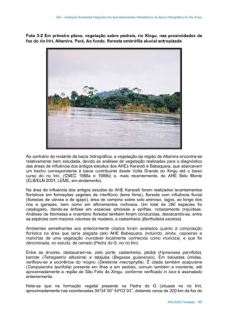 AAI – Avaliação Ambiental Integrada dos Aproveitamentos Hidrelétricos da Bacia Hidrográfica do Rio Xingu
ARCADIS Tetraplan 60
Foto 3-2 Em primeiro plano, vegetação sobre pedrais, rio Xingu, nas proximidades da
foz do rio Iriri, Altamira, Pará. Ao fundo, floresta ombrófila aluvial antropizada
Ao contrário do restante da bacia hidrográfica, a vegetação da região de Altamira encontra-se
relativamente bem estudada, devido às análises de vegetação realizadas para o diagnóstico
das áreas de influência dos antigos estudos dos AHEs Kararaô e Babaquara, que abarcavam
um trecho correspondente à bacia contribuinte desde Volta Grande do Xingu até o baixo
curso do rio Iriri, (CNEC 1988a e 1988b) e, mais recentemente, do AHE Belo Monte
(ELB/ELN 2001; LEME, em andamento).
Na área de influência dos antigos estudos do AHE Kararaô foram realizados levantamentos
florísticos em formações vegetais de interflúvio (terra firme), floresta com influência fluvial
(florestas de várzea e de igapó), área de campina sobre solo arenoso, lagos, ao longo dos
rios e igarapés, bem como em afloramentos rochosos. Um total de 280 espécies foi
catalogado, dando-se ênfase em espécies arbóreas e epífitas, notadamente orquídeas.
Análises de fitomassa e inventário florestal também foram conduzidas, destacando-se, entre
as espécies com maiores volumes de madeira, a castanheira (Bertholletia excelsa).
Ambientes semelhantes aos anteriormente citados foram avaliados quanto à composição
florística na área que seria alagada pelo AHE Babaquara, incluindo, ainda, capoeiras e
manchas de uma vegetação inundável localmente conhecida como muricizal, e que foi
denominada, no estudo, de cerrado (Pedra do O, no rio Iriri).
Entre as árvores, destacaram-se, pelo porte: castanheira, jatobá (Hymenaea parvifolia),
barrote (Tetragastris altissima) e tatajuba (Bagassa guianensis). Em baixadas úmidas,
verificou-se a ocorrência do mogno (Swietenia macrophylla). É citada também acapurana
(Campsiandra laurifolia) presente em ilhas e em pedrais, comum também a montante, até
aproximadamente a região de São Felix do Xingu, conforme verificado in loco e assinalado
anteriormente.
Note-se que na formação vegetal presente na Pedra do O (situada no rio Iriri,
aproximadamente nas coordenadas 04º34´00” 54º03´03”, distando cerca de 200 km da foz do
 