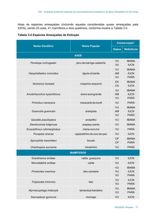 AAI – Avaliação Ambiental Integrada dos Aproveitamentos Hidrelétricos da Bacia Hidrográfica do Rio Xingu
ARCADIS Tetraplan 71
listas de espécies ameaçadas (incluindo aquelas consideradas quase ameaçadas pela
IUCN), sendo 25 aves, 41 mamíferos e dois quelônios, conforme mostra a Tabela 3-2.
Tabela 3-2 Espécies Ameaçadas de Extinção
Conservação*
Nome Científico Nome Popular
Status Referência
AVES
Penelope ochrogaster jacu-de-barriga-castanha
VU
VU
IBAMA
IUCN
Harpyhaliaetus coronatus águia-cinzenta
VU
AM
VU
IBAMA
IUCN
PARÁ
Numenius borealis maçarico-esquimó
EX
CA
IBAMA
IUCN
Anodorhynchus hyacinthinus arara-azul-grande
VU
AM
VU
IBAMA
IUCN
PARÁ
Primolius maracana maracanã-do-buriti VU PARÁ
Guarouba guarouba ararajuba
VU
AM
VU
IBAMA
IUCN
PARÁ
Geositta poeciloptera andarilho VU IBAMA
Dendrocincla fuliginosa arapaçu-pardo VU IBAMA
Euscarthmus rufomarginatus maria-corruíra VU PARÁ
Poospiza cinerea capacetinho-do-oco-do-pau VU IUCN
Sporophila maximiliani bicudo
CP
CP
IBAMA
PARÁ
Charitospiza eucosma mineirinho VU PARÁ
MAMÍFEROS
Gracilinanus emiliae catita, guaiquica VU IUCN
Monodelphis emiliae catita VU IUCN
Priodontes maximus tatu-canastra
VU
VU
VU
IBAMA
IUCN
PARÁ
Tolypeutes tricinctus tatu
VU
VU
IUCN
PARÁ
Myrmecophaga tridactyla tamanduá-bandeira
VU
VU
IBAMA
PARÁ
Saccopteryx gymnura morcego VU IUCN
 