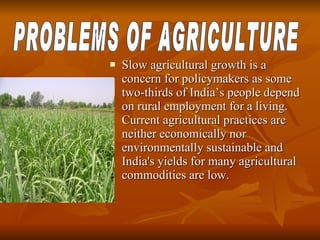 Slow agricultural growth is a concern for policymakers as some two-thirds of India’s people depend on rural employment for a living. Current agricultural practices are neither economically nor environmentally sustainable and India's yields for many agricultural commodities are low. PROBLEMS OF AGRICULTURE 