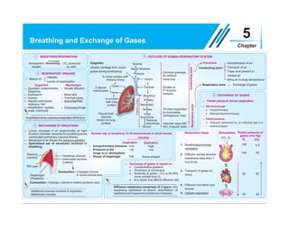 BIOLOGY NEET Mind Map FOR 360(ZOOLOGY).pdf