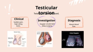 High Riding Testes Male reproductive system and diseasesaakash ppt rughf.pptx