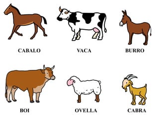 CABALO VACA BURRO
BOI OVELLA CABRA
 