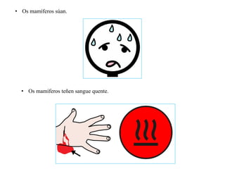 • Os mamíferos súan.
• Os mamíferos teñen sangue quente.
 