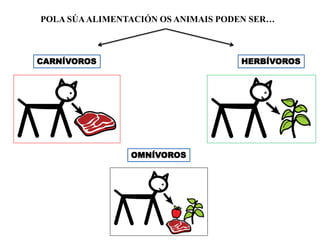 POLA SÚAALIMENTACIÓN OS ANIMAIS PODEN SER…
CARNÍVOROS HERBÍVOROS
OMNÍVOROS
 