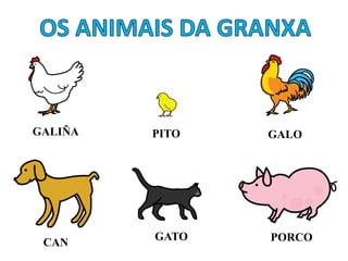 GALIÑA PITO GALO
CAN
GATO PORCO
 