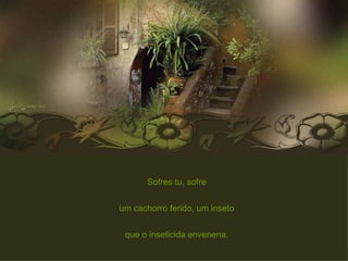 Sofres tu, sofre um cachorro ferido, um inseto que o inseticida envenena. 